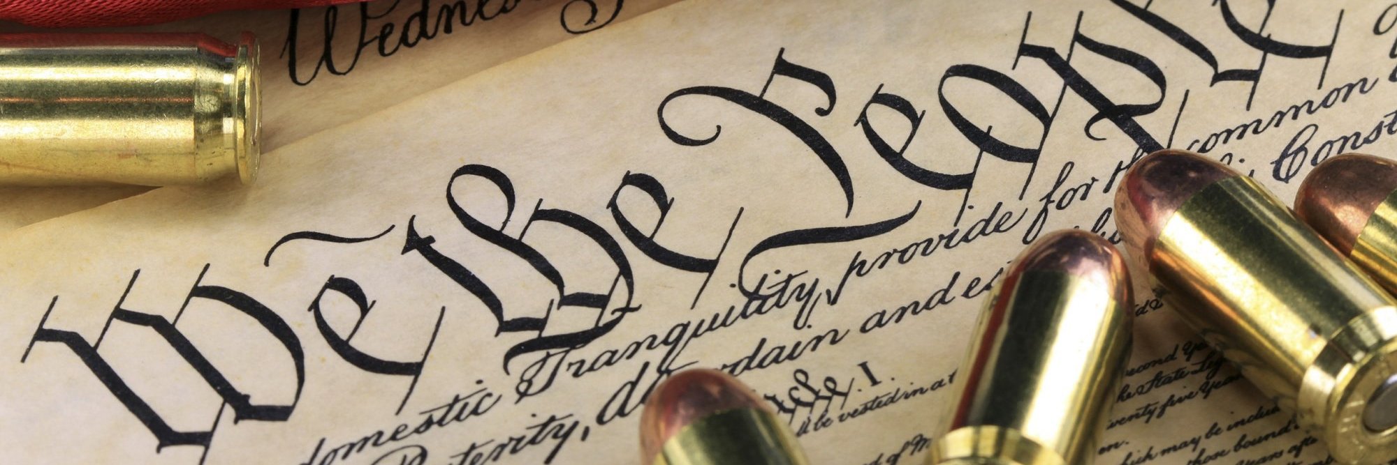 Michigan Gun Owners banner