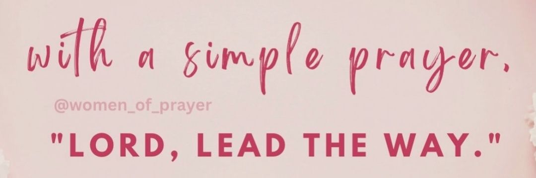 🍷....STEPHFANIE....🍸 banner