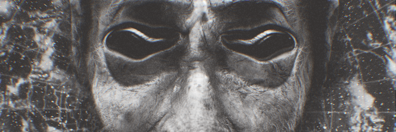 jumpymouse's profile banner image