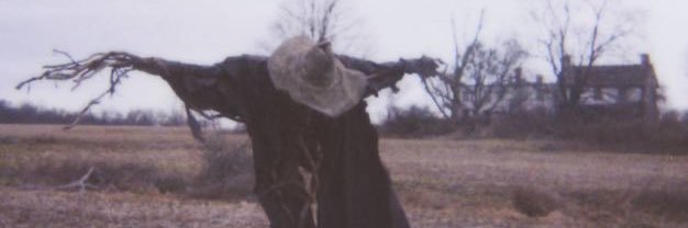 captainemiliaa's profile banner image