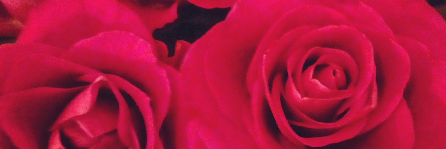 megvioletxo's profile banner image