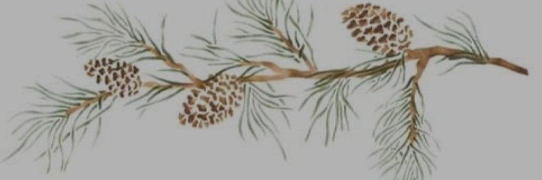 matheaslib's profile banner image