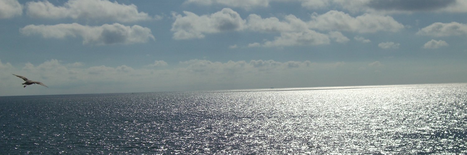 Ambient, House & New Age Music banner