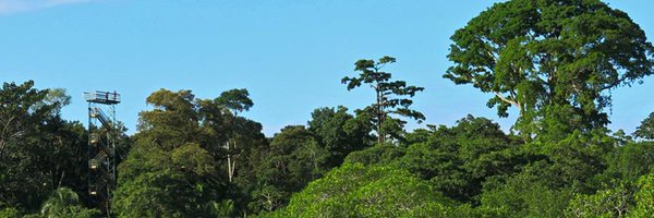 tranquilobay Profile Banner