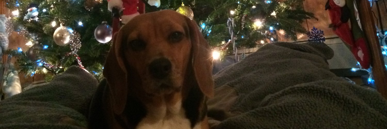 Kera Carpenter banner