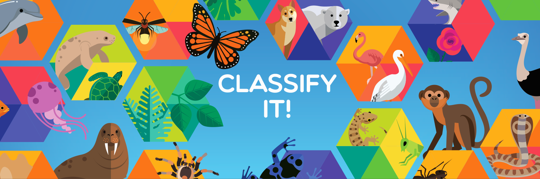 ScienceNetLinks's profile banner image