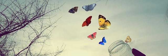 breebug's profile banner image