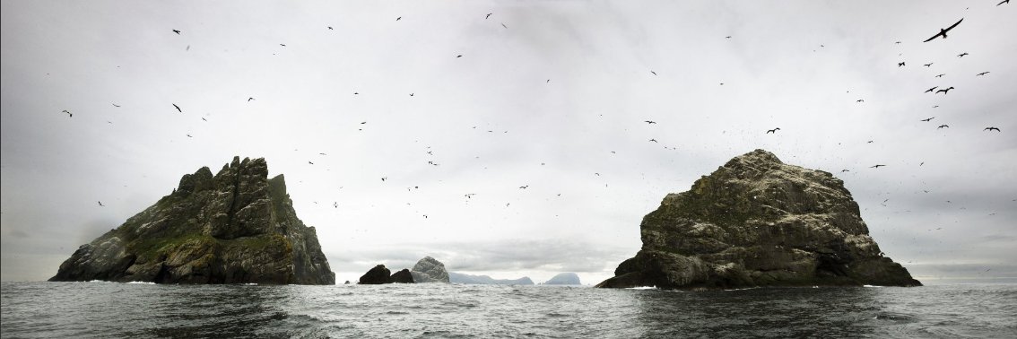 Guardian Scotland banner