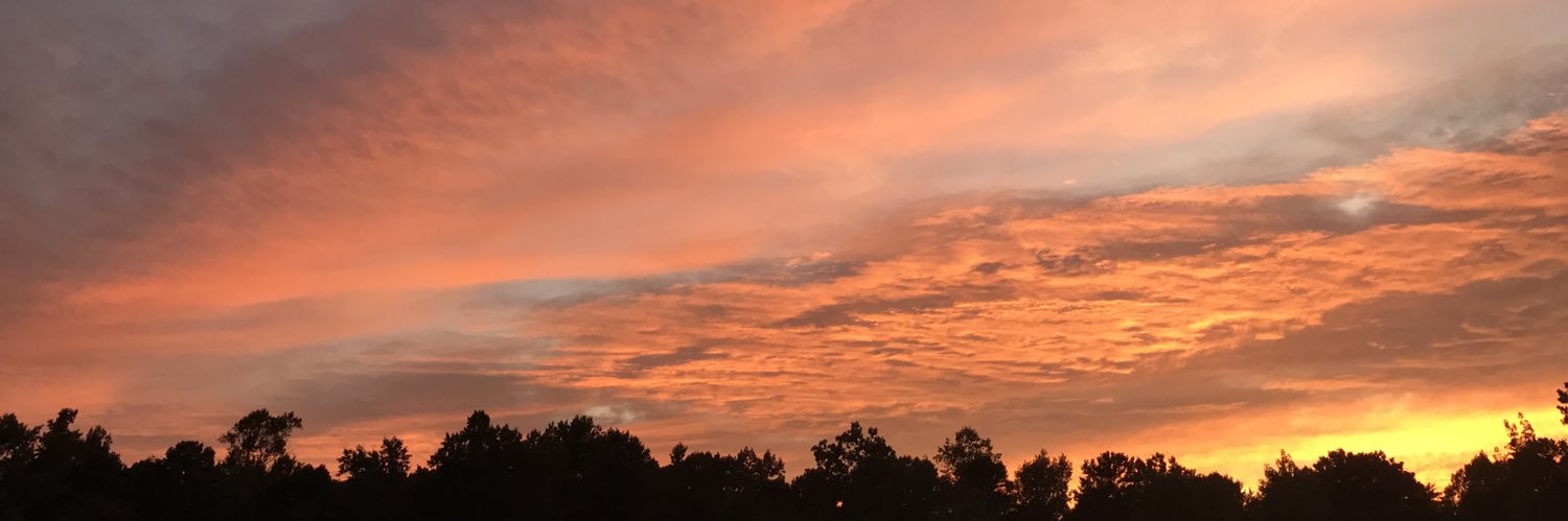wjflynn's profile banner image