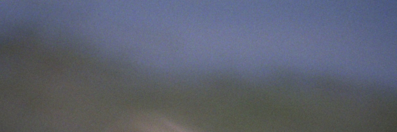 Maddee Ritter banner
