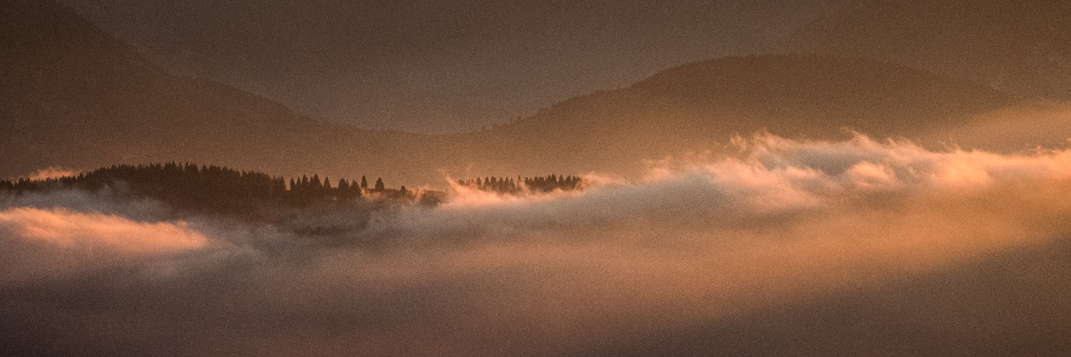 Flou sentimental banner