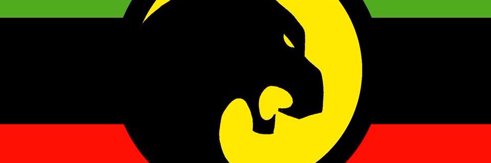 PMPrimeSource's profile banner image