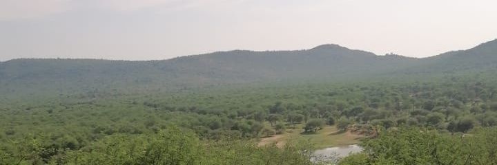 maladynduli's profile banner image