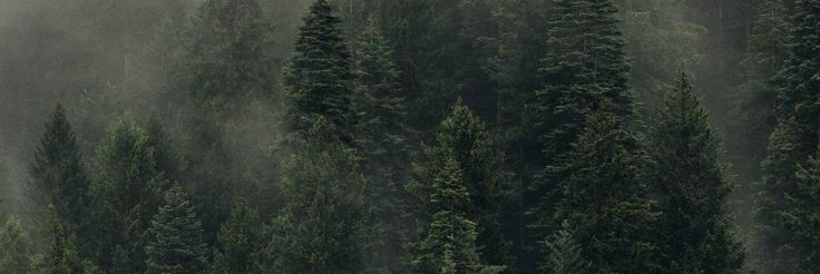 MelbinconB's profile banner image