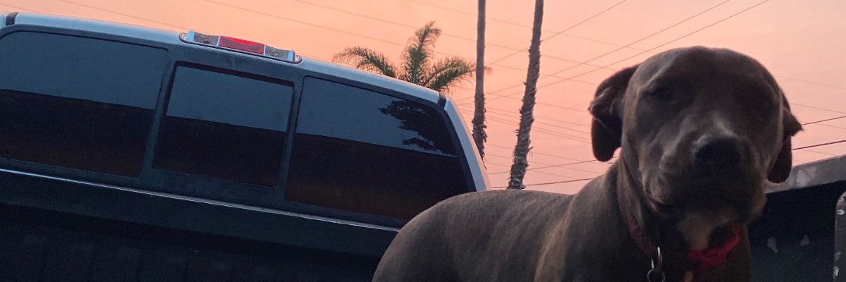 jrobb8000's profile banner image