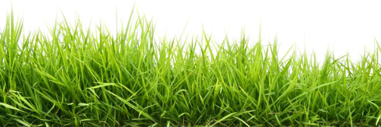Pu55lover's profile banner image