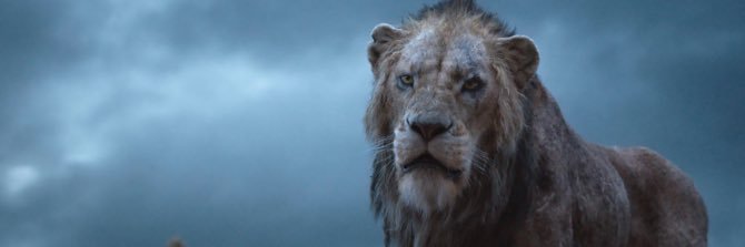 Terrell Vinson banner