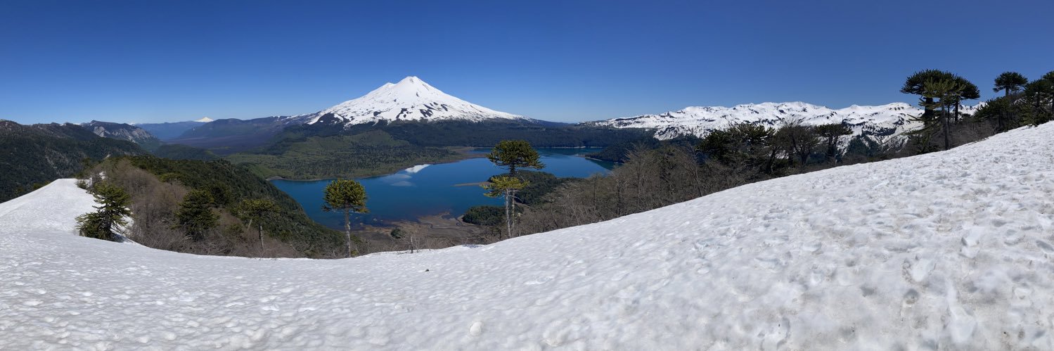 Daniel Alvarado banner