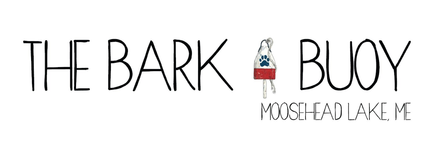 I am the Brand. ✌🏼 banner