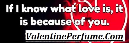 Twitter banner for @perfumes