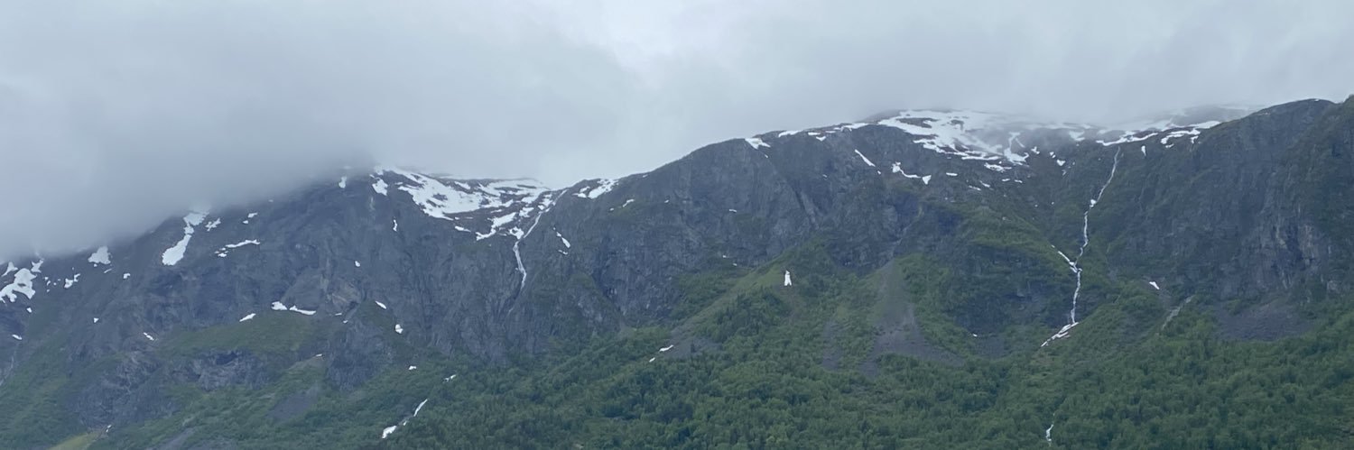 Melltini's profile banner image