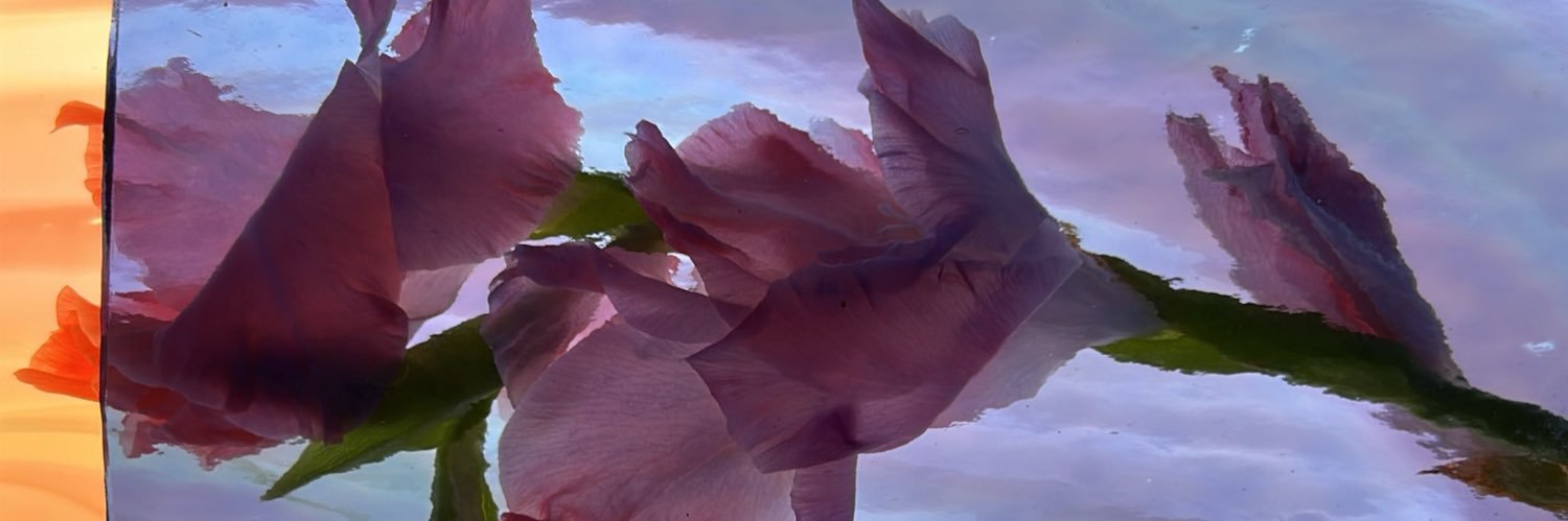 tylertadlock's profile banner image