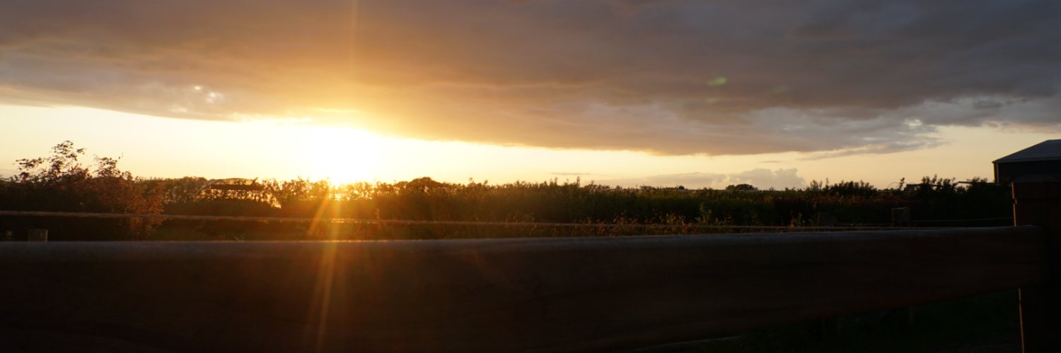 mnegashtw's profile banner image