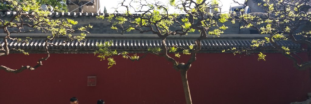 pbaert's profile banner image