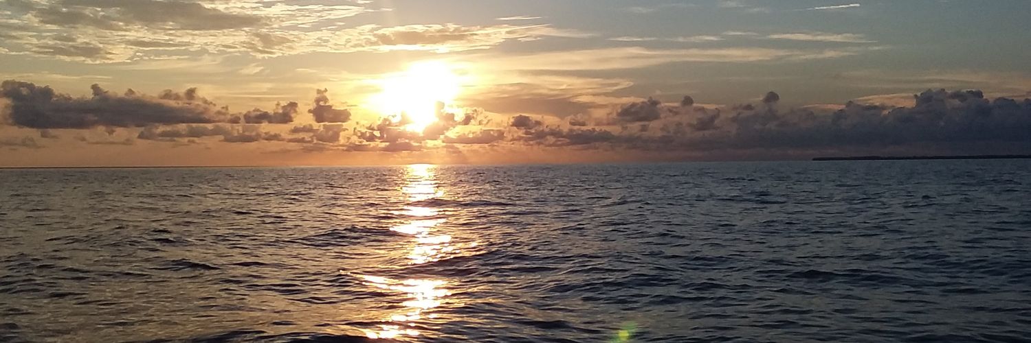 pnyonk's profile banner image