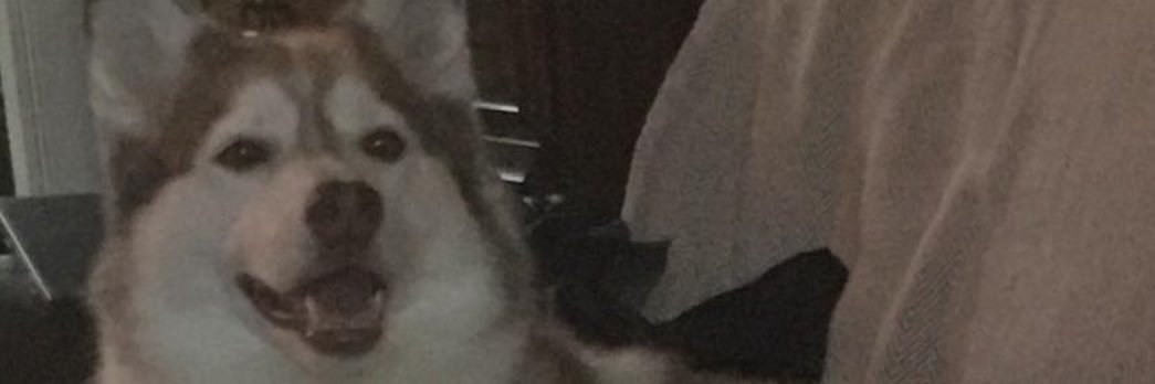 MorallyTweeting's profile banner image