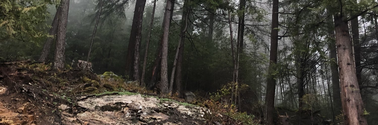robrainforest's profile banner image