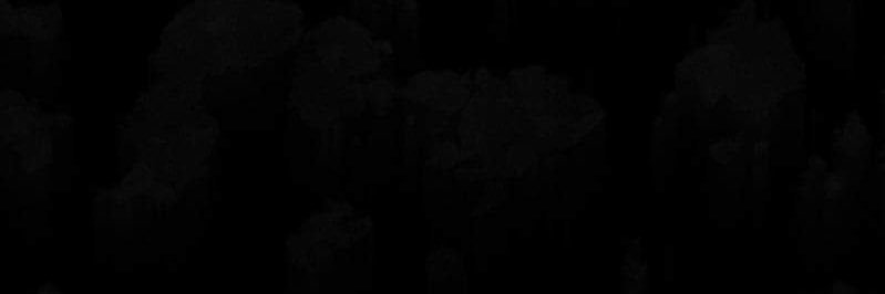 TylerBranyon's profile banner image