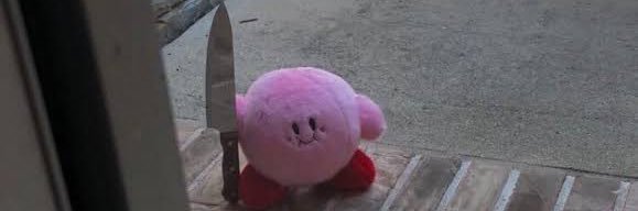 rooy banner