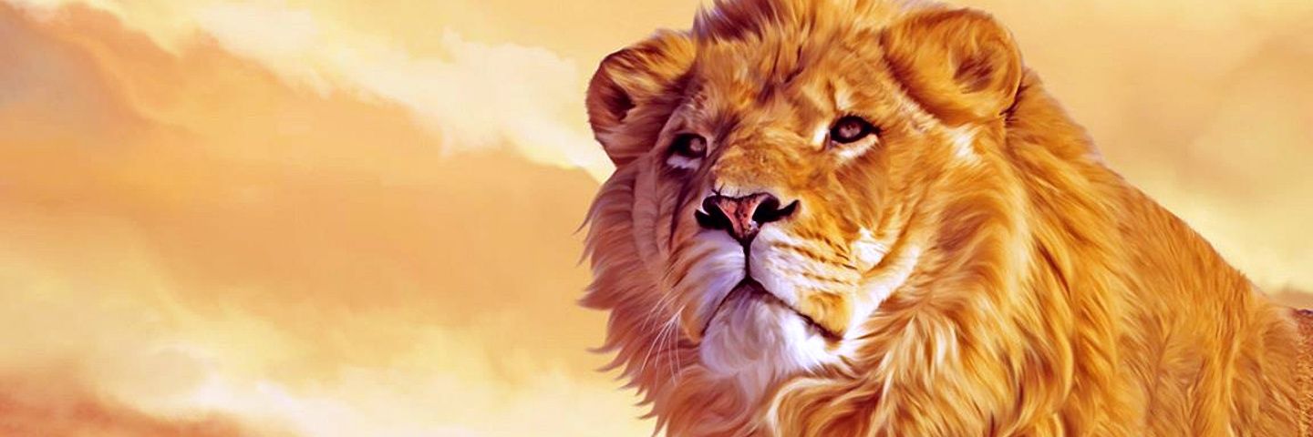 Mayur_Pahuja's profile banner image