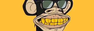 Kerri Backyardigan banner