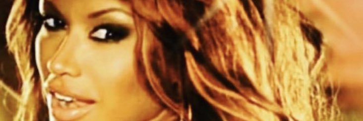 Traci Bingham banner