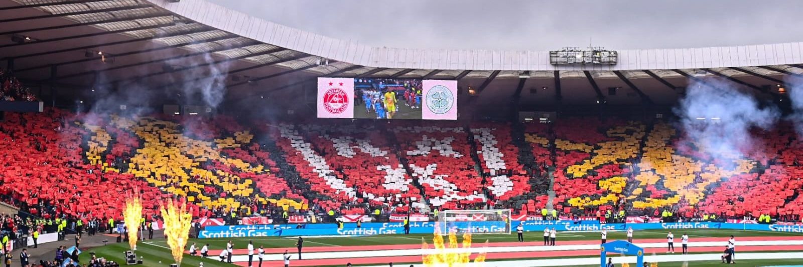 Scott banner