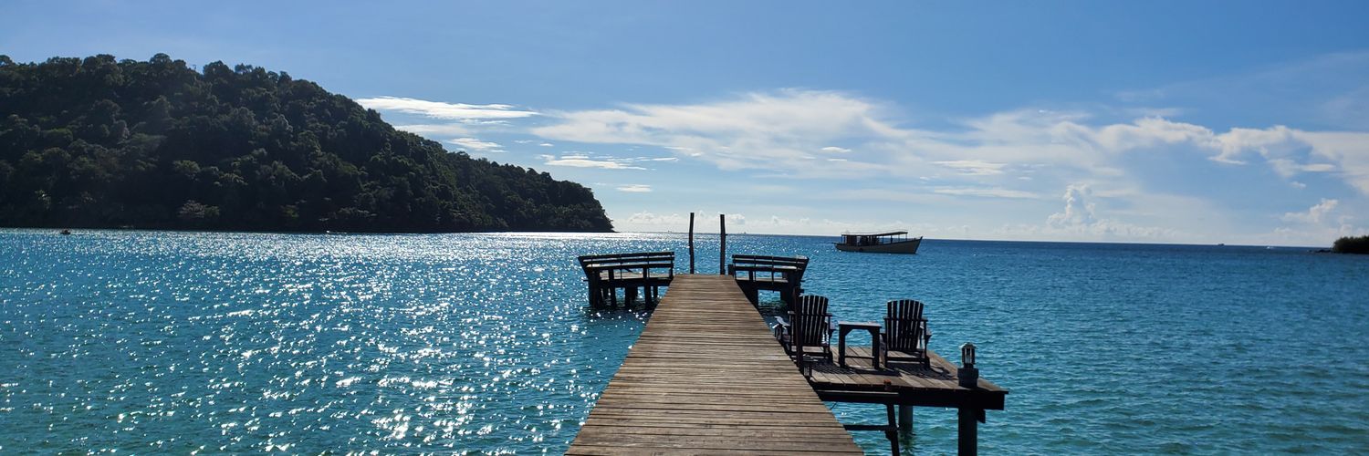 แมวสีขาว (=^⁠･⁠ｪ⁠･⁠^=) banner