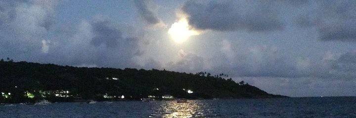tfm____'s profile banner image