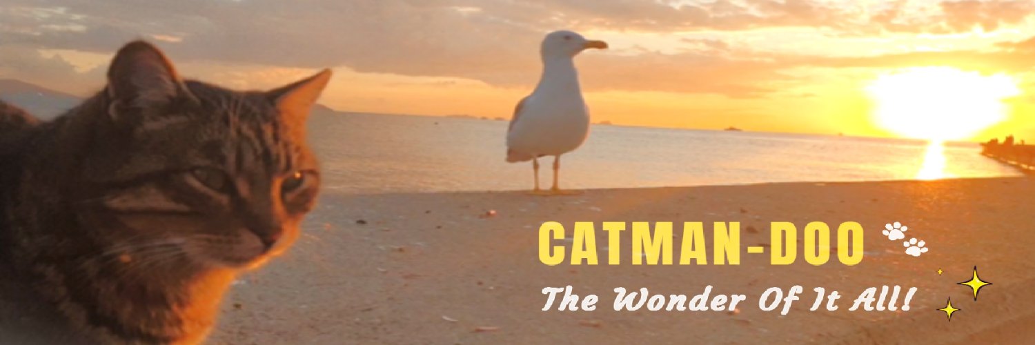 CATMAN-DOO 🐾 The Wonder Of It All! ✨ banner