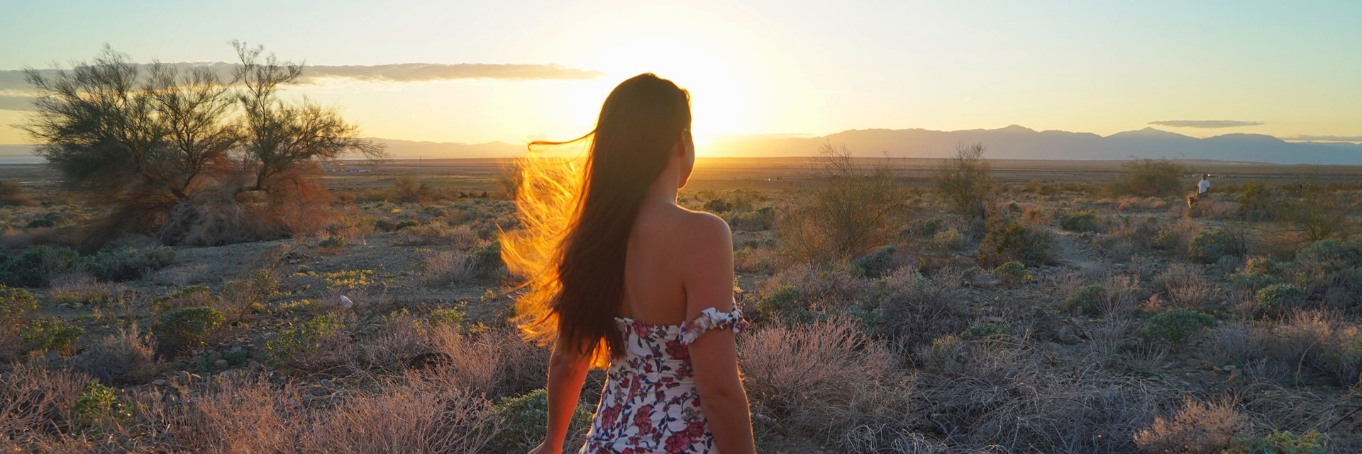 ashleycolburn's profile banner image