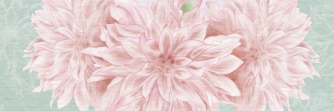 daniberis14's profile banner image