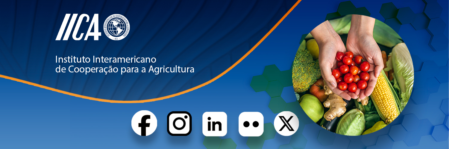 iicabrasil's profile banner image