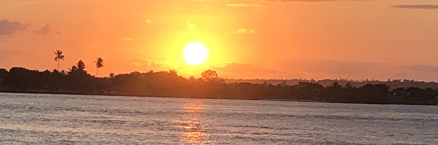 NandaFerrario's profile banner image