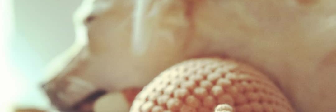 HelenDeLuca's profile banner image