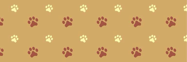 ctyankee57's profile banner image