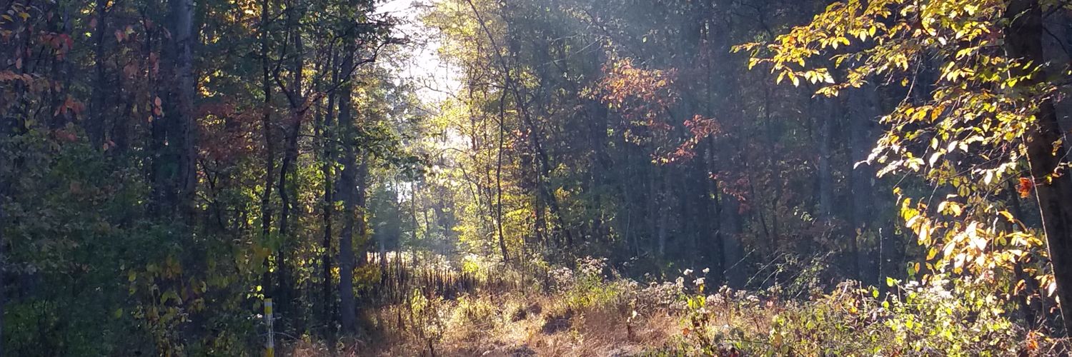 calell83's profile banner image