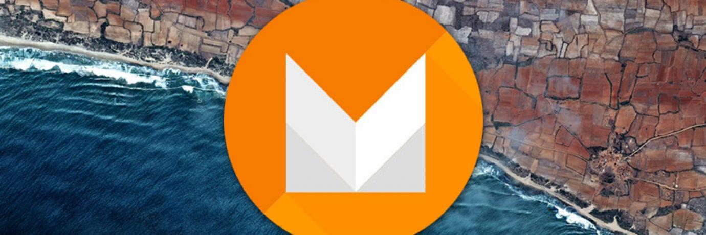 mikaelmolto's profile banner image
