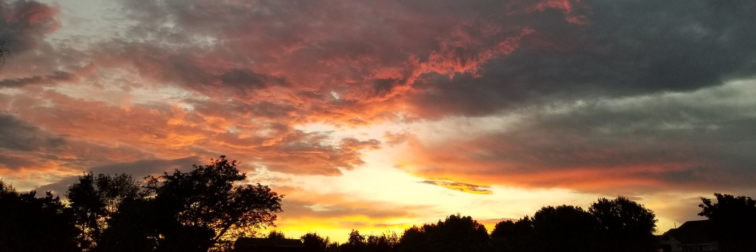 mergatroid's profile banner image