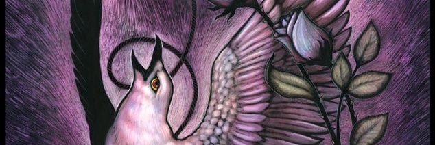 Keely Dolan 𓅃 banner